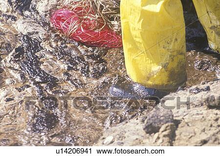 Close-up of a man walking through an oil spill View Large Photo Image Stock Image - Close-up of a man walking through an oil spill. Fotosearch