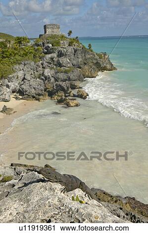Stock Image - Close-up on Lizard with background of Templo del Dios del Viento. Fotosearch