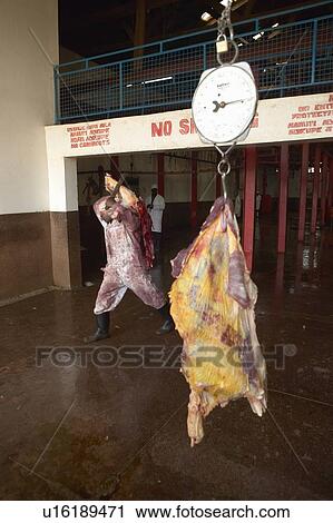 Cow carcass on scale View Large Photo Image Stock Image - Cow carcass on scale. Fotosearch
