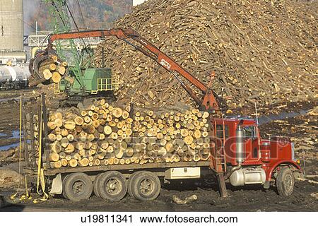 Stock Image - Cranes adding logs to the large pile of wood ready to be made into paper. Fotosearch