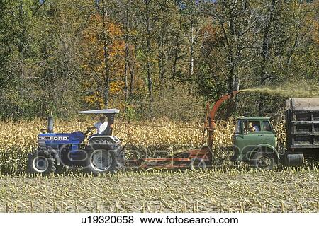 Farm machinery harvesting corn View Large Photo Image Stock Photo - Farm machinery harvesting corn. Fotosearch