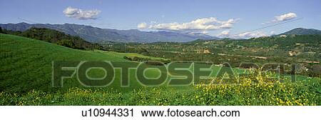 Stock Image - Field in Springtime, Ojai, California. Fotosearch