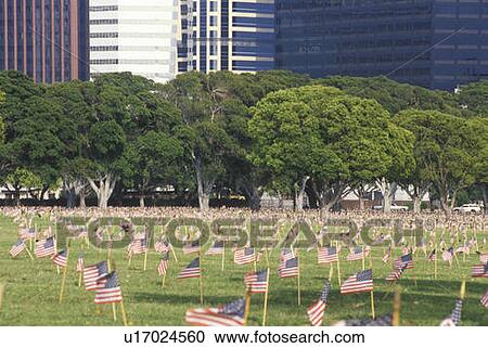 Stock Image - Flags Marking Graves, Veteran's National Cemetery, Westwood, California. Fotosearch