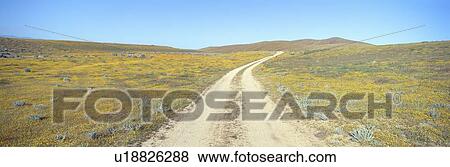 Stock Photo - Flowers & Poppies, Antelope Valley, California. Fotosearch