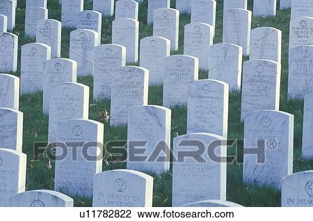 Gravestones, Arlington National Cemetery, Washington, D. C. View Large Photo Image Stock Image - Gravestones, Arlington National Cemetery, Washington, D. C.. Fotosearch