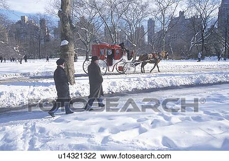 Horse carriage ride View Large Photo Image Stock Image - Horse carriage ride. Fotosearch