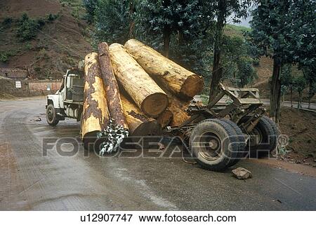 Stock Photo - Logging truck accidental log spill. Fotosearch