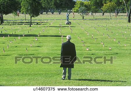 Man Looking at Graves, Los Angeles, California View Large Photo Image Stock Photography - Man Looking at Graves, Los Angeles, California. Fotosearch