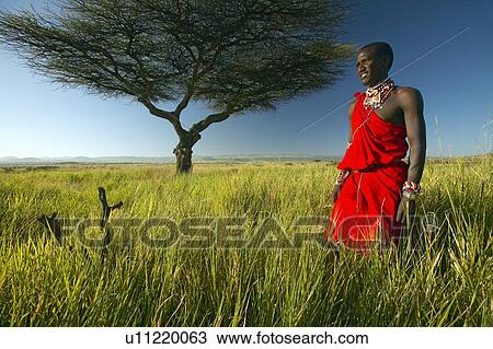 Masai Warrior in red standing View Large Photo Image Stock Image - Masai Warrior in red standing. Fotosearch