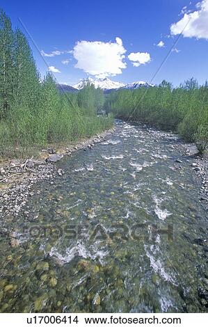 “Moose Creek” along Matanuska Highway, Route 1, Alaska View Large Photo Image Picture - “Moose Creek” along Matanuska Highway, Route 1, Alaska. Fotosearch