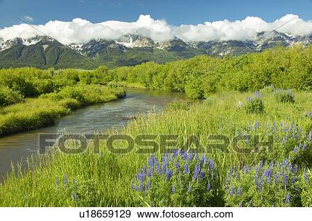 Stock Photo - Mountain water runoff. Fotosearch