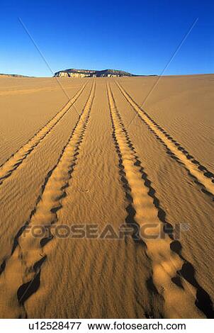Stock Photo - Off road vehicle tracks at Coral Pink Sand Dunes State Reserve in southern UT. Fotosearch