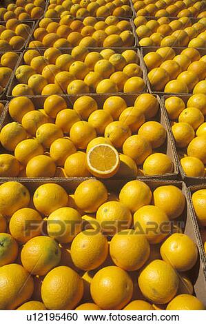 Stock Image - Orange boxes. Fotosearch