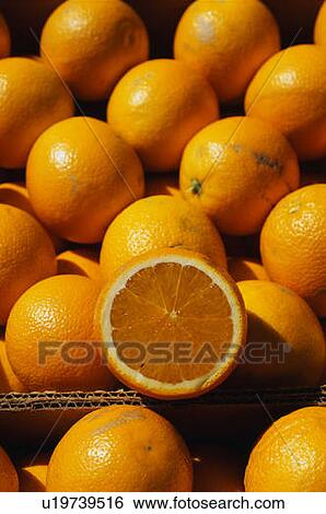 Stock Photograph - Oranges.. Fotosearch