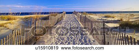 Pathway and sea oats on beach at Santa Rosa Island near Pensacola, Florida View Large Photo Image Stock Photo - Pathway and sea oats on beach at Santa Rosa Island near Pensacola, Florida. Fotosearch