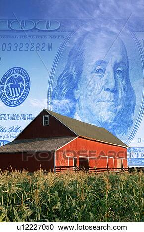Photo montage: American currency, red barn and corn field View Large Photo Image Stock Image - Photo montage: American currency, red barn and corn field. Fotosearch