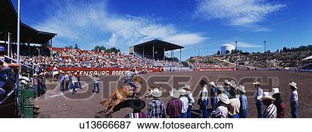 Rodeo View Large Photo Image Stock Photo - Rodeo. Fotosearch