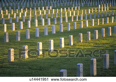 Rows of Gravestones at Sunset, Los Angeles, California View Large Photo Image Stock Image - Rows of Gravestones at Sunset, Los Angeles, California. Fotosearch