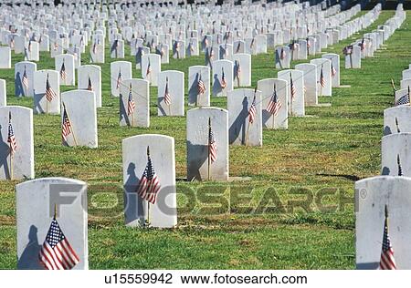 Rows of Gravestones, Los Angeles, California View Large Photo Image Stock Image - Rows of Gravestones, Los Angeles, California. Fotosearch