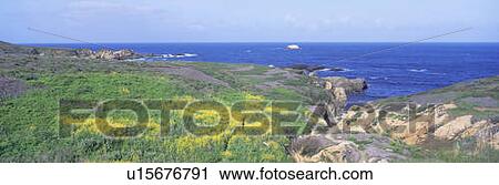 Stock Image - Seashore along Highway 1 in spring, Northern California. Fotosearch