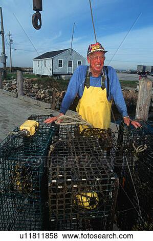Smiling fisherman with lobster traps View Large Photo Image Stock Photo - Smiling fisherman with lobster traps. Fotosearch