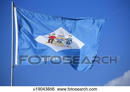 State Flag of Delaware View Large Photo Image Stock Photograph - State Flag of Delaware. Fotosearch