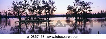 Sunset over wildlife refuge of Lake Fausse Pointe State Park, Louisiana View Large Photo Image Stock Photo - Sunset over wildlife refuge of Lake Fausse Pointe State Park, Louisiana. Fotosearch