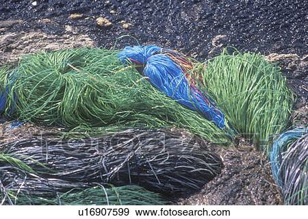Stock Photo - Swabs of absorbent material sitting in a pool of spilled oil. Fotosearch
