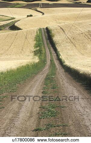Stock Photograph - The road that travels through the world's largest wheat region. Fotosearch