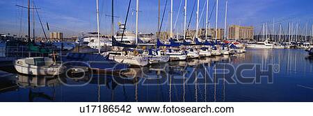 These are sailboats moored in the harbor View Large Photo Image Stock Image - These are sailboats moored in the harbor. Fotosearch
