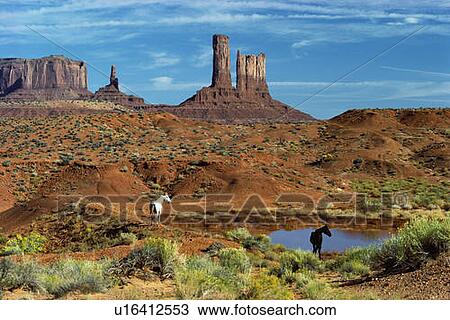 Stock Image - These are wild horses at a watering hole. It is the north view in Utah.. Fotosearch