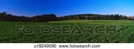 Stock Image - This is a green field on Darling Hill Road. Fotosearch