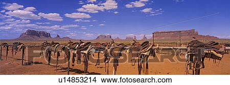 Picture - This is a long wooden railing where numerous saddles. Fotosearch
