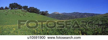 This is a the view toward Santa Barbara View Large Photo Image Stock Image - This is a the view toward Santa Barbara. Fotosearch