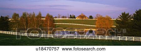 This is a thoroughbred horse farm View Large Photo Image Stock Photo - This is a thoroughbred horse farm. Fotosearch