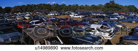 This is an auto salvage yard View Large Photo Image Stock Image - This is an auto salvage yard. Fotosearch