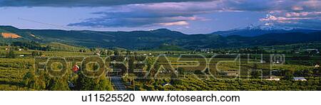 This is the Hood River Valley View Large Photo Image Stock Image - This is the Hood River Valley. Fotosearch