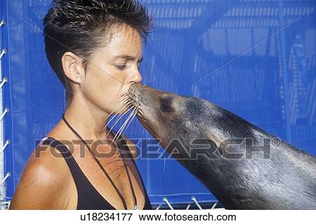 Stock Photo - Trainer and Sea Lion, Magic Mountain, Los Angeles, CA. Fotosearch