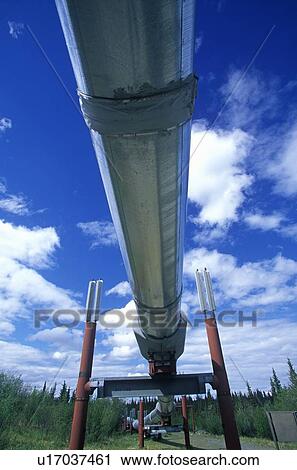 Stock Image - Trans-Alaska Pipeline. Fotosearch