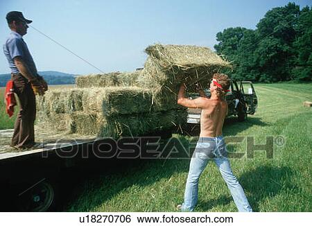 Stock Photograph - Two men loading bales of hay onto a flatbed truck. Fotosearch