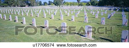 Veterans National Cemetery on Veteran's Day, Los Angeles, California View Large Photo Image Picture - Veterans National Cemetery on Veteran's Day, Los Angeles, California. Fotosearch