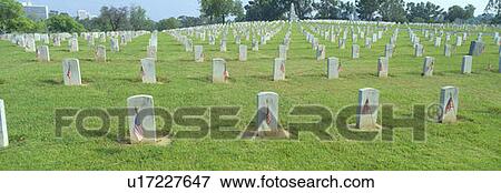 Stock Photo - Veterans National Cemetery on Veteran's Day, Los Angeles, California. Fotosearch
