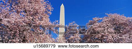 Washington Monument View Large Photo Image Stock Photo - Washington Monument. Fotosearch
