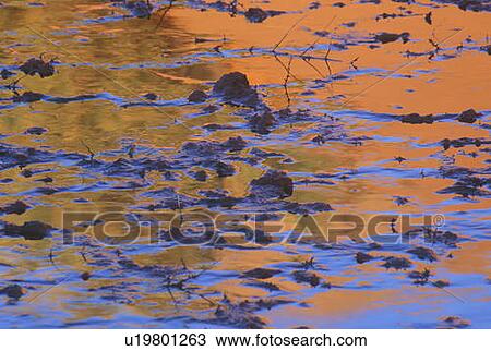 Water and Mud View Large Photo Image Stock Image - Water and Mud. Fotosearch