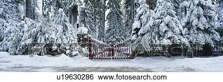 Winter gate after snowstorm, California View Large Photo Image Stock Photograph - Winter gate after snowstorm, California. Fotosearch