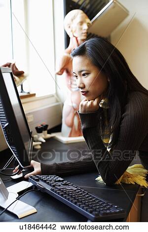 Stock Image - Side profile of a young woman using a computer. Fotosearch