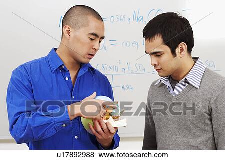 Stock Photo - Close-up of a professor holding a human skull in front of his student in a classroom. Fotosearch