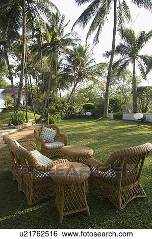 Stock Photograph - Armchairs and a couch in a lawn. Fotosearch