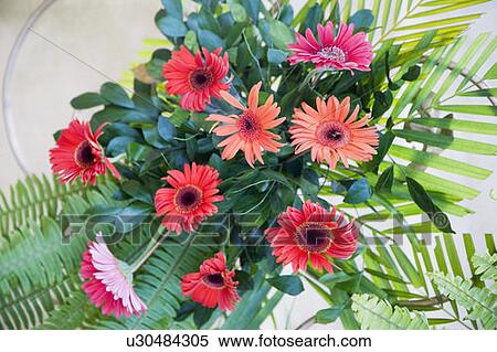 Stock Photography - Close-up of a bouquet of flowers. Fotosearch