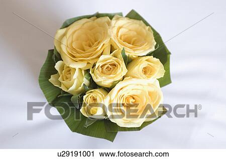 Close-up of a bunch of roses View Large Photo Image Stock Image - Close-up of a bunch of roses. Fotosearch